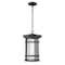 Z-Lite Jordan 1 Light Outdoor Chain Mount Ceiling Fixture, Black And Clear Seedy 570CHB-BK - alternate 1